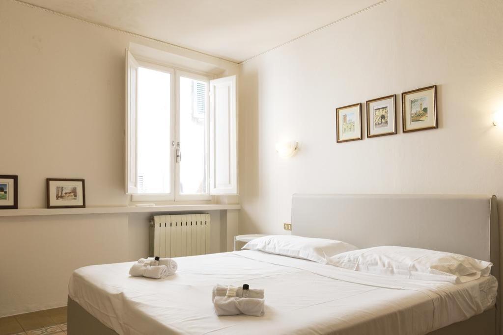 Mario'S Apartament With Ac And Wifi Lucca Exterior foto